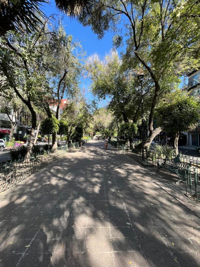 Boutique Hotel Durango219 Мехіко Екстер'єр фото
